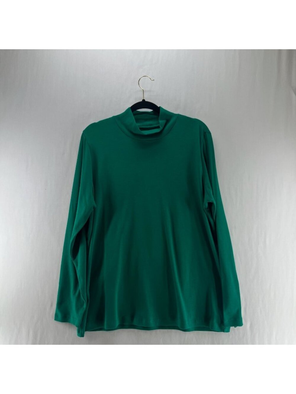 Coldwater Creek BestCotton Turtleneck Top Womens XL Long Sleeve Pullover Green